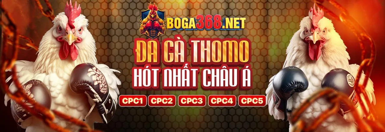 Trải nghiệm cá cược đá gà trực tuyến tại 1bmw