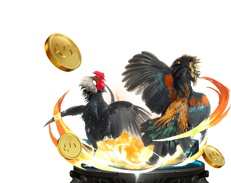 Đặc quyền và lợi ích độc quyền dành cho thành viên VIP BK8